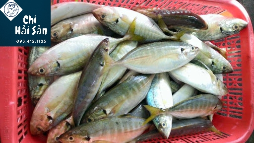 Dinh dưỡng từ cá ngân! cá bán tại Chihaisan
