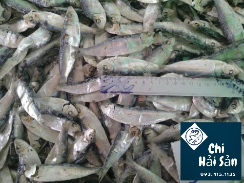 cá trích khô xuất khẩu tại vựa hải sản giá rẻ tpHCM 