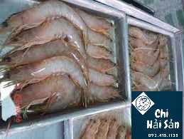 tôm bạc biển tại vựa hải sản quận 1 - 3- 5 -7 nội thành tpHCM
