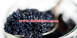 Trứng cá tầm đen Caviar
