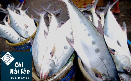Cá bán tại Chihaisan