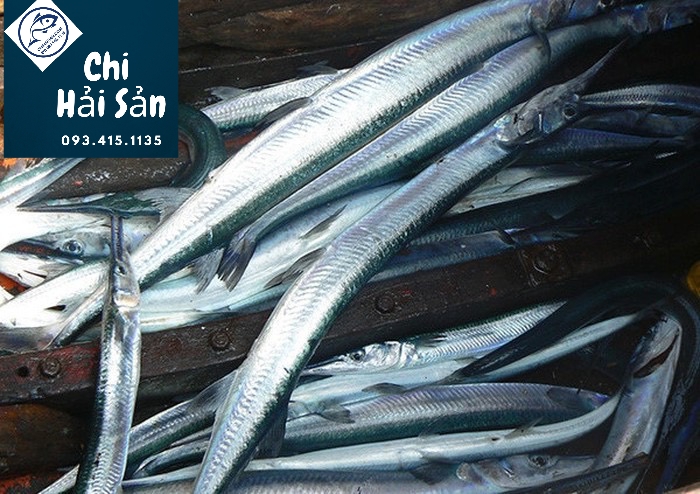 cá bán tại Chihaisan