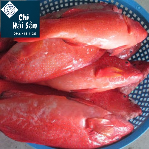 Cá mú để bán tại Chihaisan
