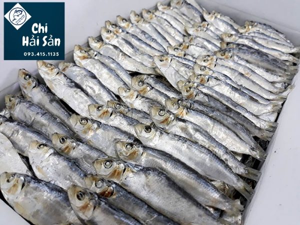 Cá trích xuất khẩu giá sỉ tại Chihaisan