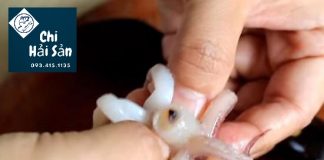 Cách lấy răng mực