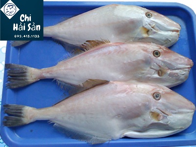 Cá bò lột da tại Chihaisan
