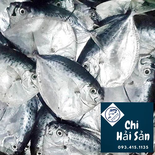 Giá bán cá Bánh Lái đen tại Chihaisan