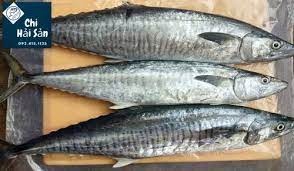 Giá cá thu tại Chihaisan