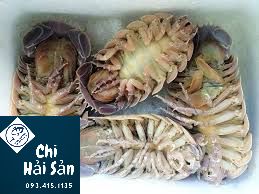 Giá bọ biển Quy Nhơn tại Chihaisan