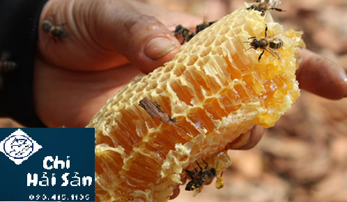 Tác dụng mật ong rừng với sức khỏe