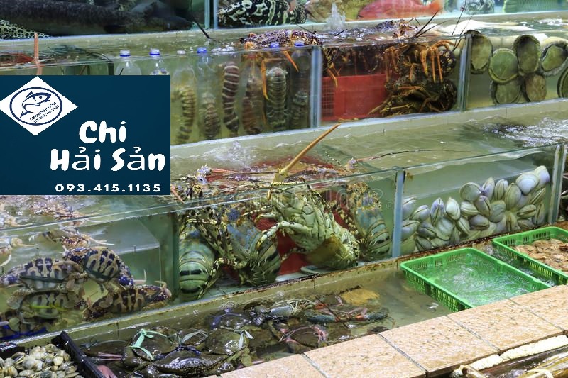 Chihaisan –  Vựa Sỉ hải sản tươi sống