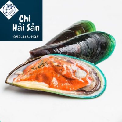 Vẹm xanh Newzealand