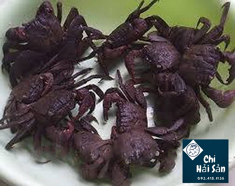 Ba khía bán tại Chihaisan