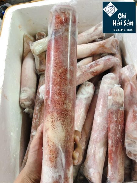 Mực ốngtại Chihaisan có nhiều size khác nhau