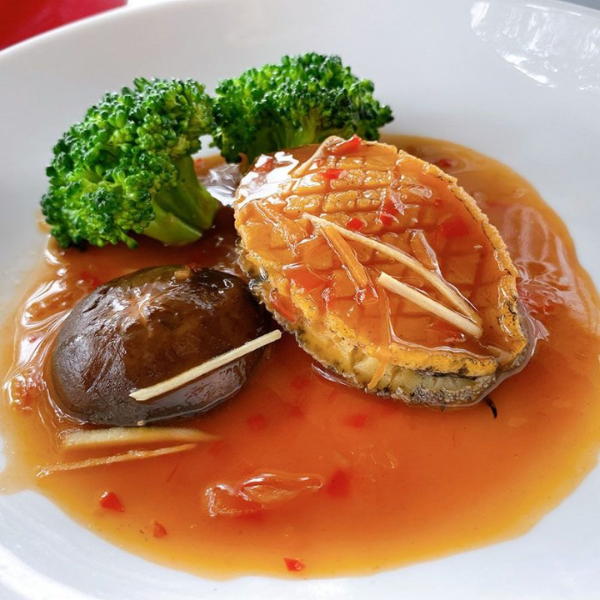 Bào ngư giá sỉ