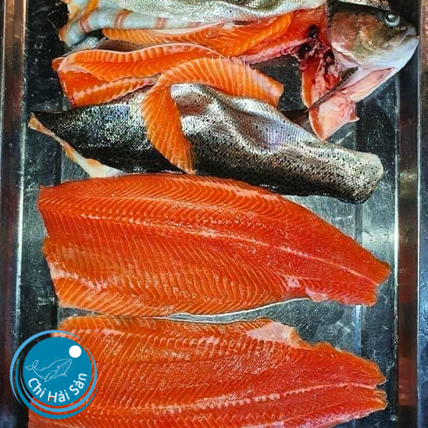 Phile cá hồi