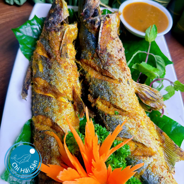 Cá úc tươi giá sỉ