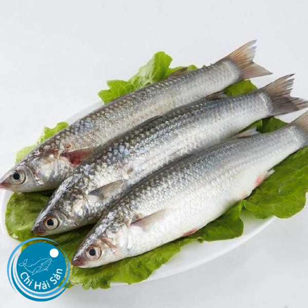 Cá Đối Tươi Ngon