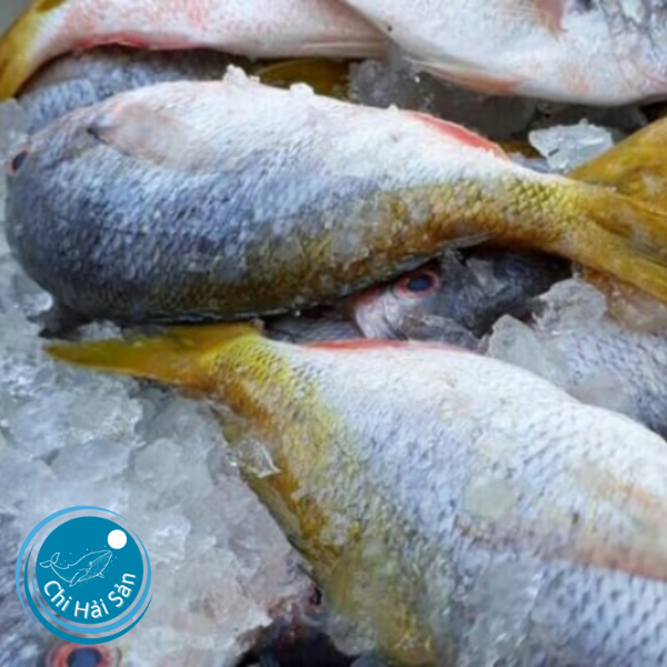 Cá Chàm – Đặc sản biển Phú Quốc với món chả cá cực ngon!