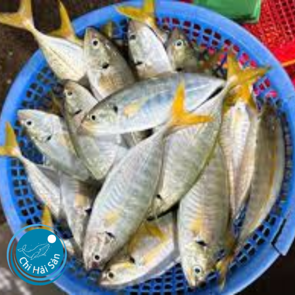 Cá ngân tươi- dễ chế biến thành các món ăn ngon và lành!