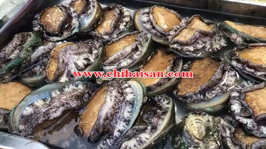 Bào ngư sống ngon