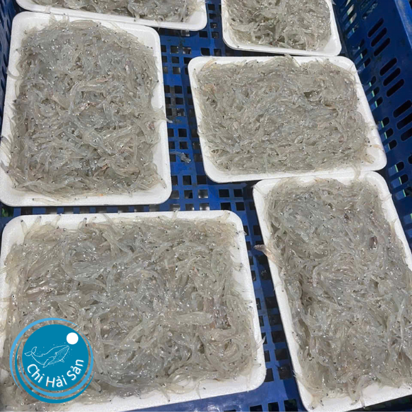 Cá cơm đóng khay