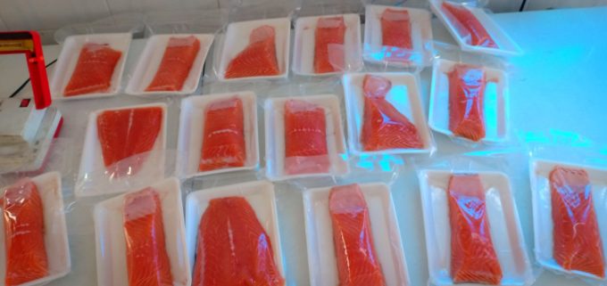 ca-hoi-phi-le-ban-tai-TPHCM Cá Hồi phi Lê Nauy tại Chihaisan