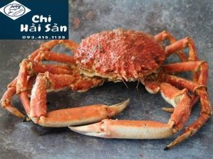 Cua nhện Nhật bản