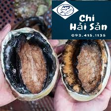Bào ngư Úc viền đen
