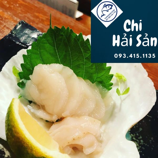 Sò điệp Nhật ăn Sashimi