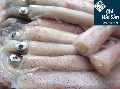 Mua mực trứng size lớn