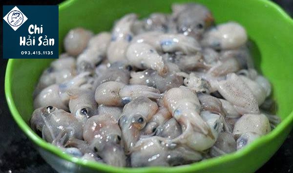 Mực sim, Mực nhỏ, giá nhỏ Mực sim, Mực nhỏ, giá nhỏ