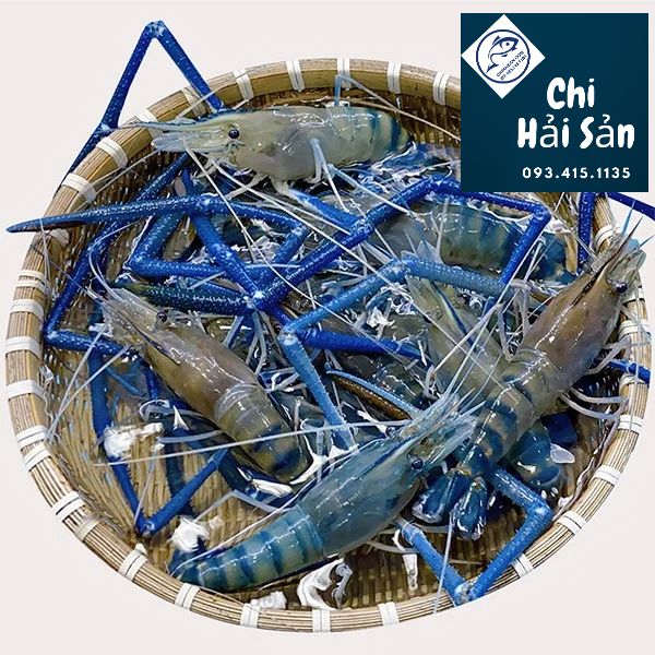 image-6-1-8 Giá tôm càng xanh sống
