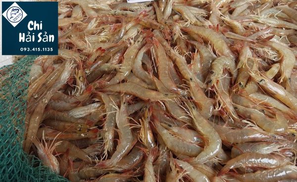 tôm rảo tại vựa hải sản cao cấp tại tpHCM tôm rảo tại vựa hải sản cao cấp tại tpHCM
