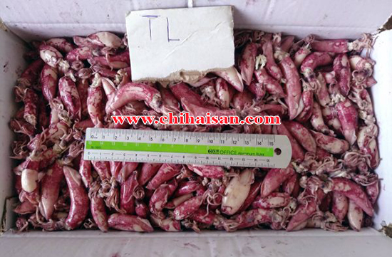 Mua mực cơm tại TPHCM