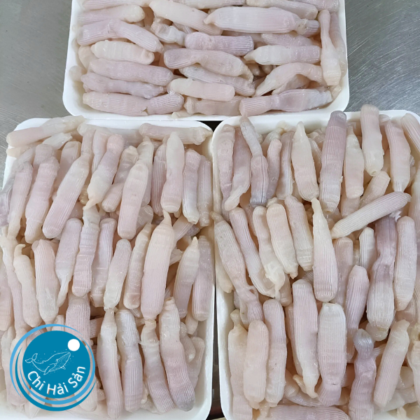 Sá sùng tươi đóng khay cấp đông bảo quản