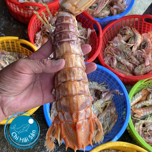 Tôm tít hấp