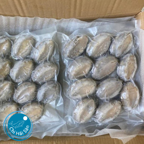 Bán bào ngư đông lạnh cao cấp cho nhà hàng
