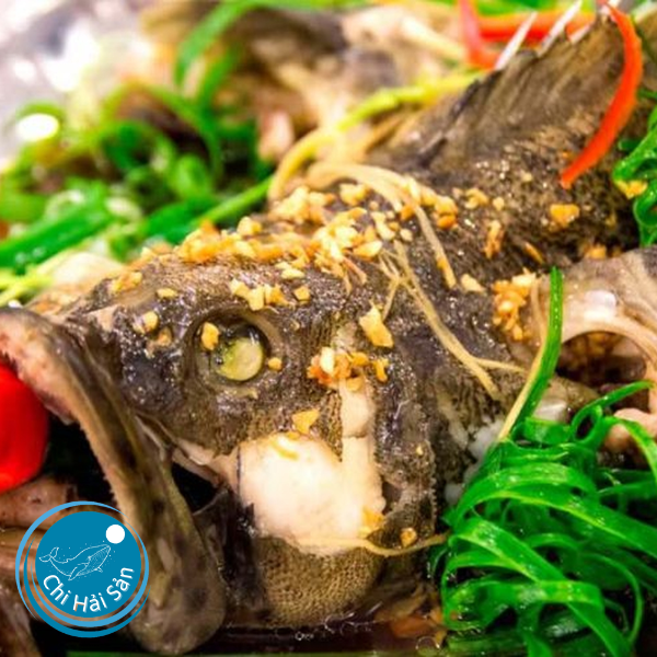 Cá mú úc hấp hành