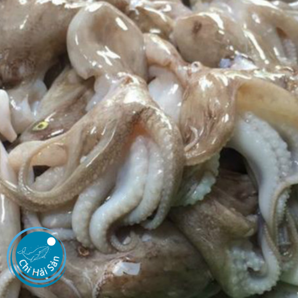 Thịt bạch tuộc giàu dinh dưỡng
