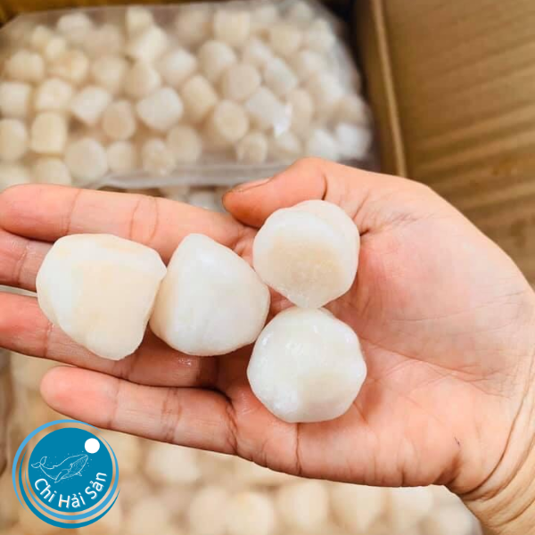 Bán cồi sò điệp khô cho nhà hàng TPHCM