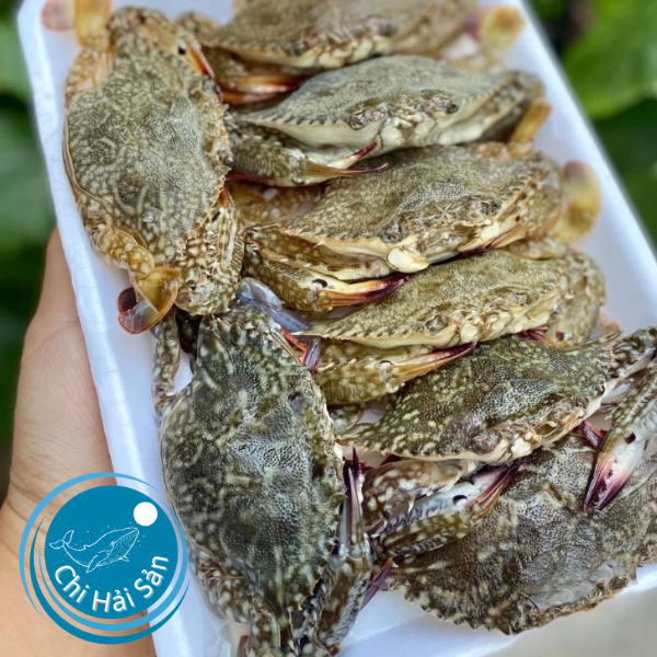 Ghẹ Lột Phú Quốc cho nhà hàng
