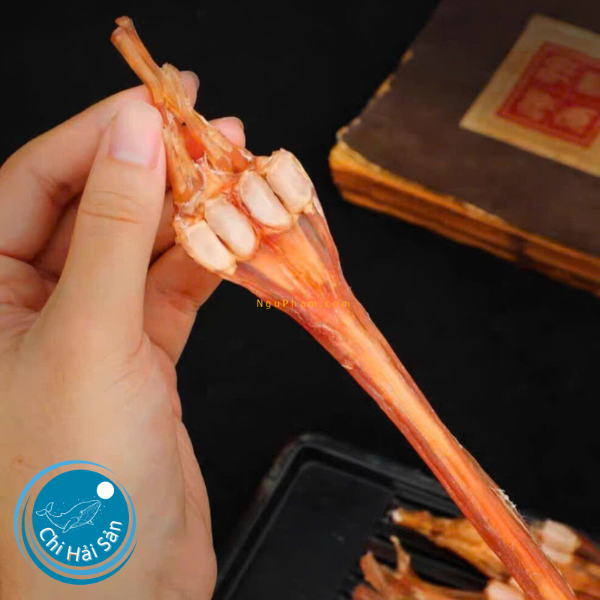 Gân nai - Tinh hoa từ núi rừng