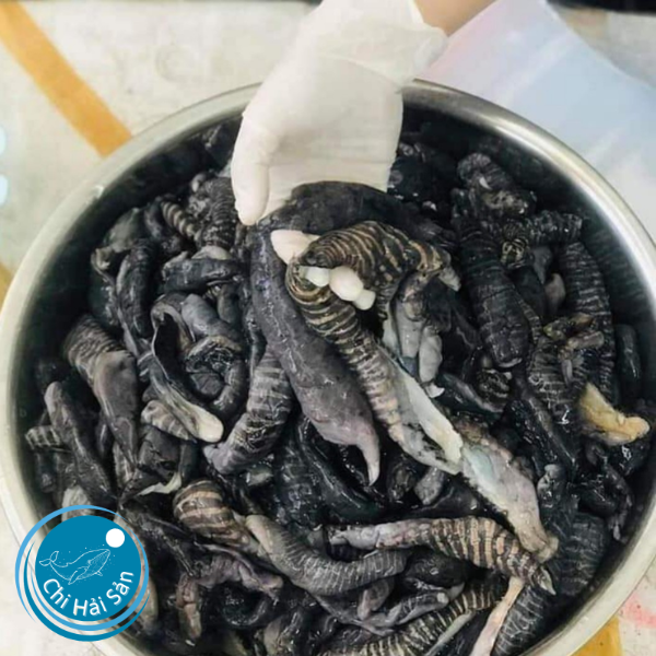 Nấm biển bán cho nhà hàng thực sự có phải là một loại nấm?