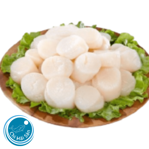 cồi ngao đã được sơ chế