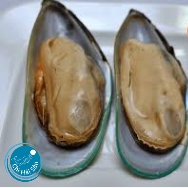 Vẹm xanh