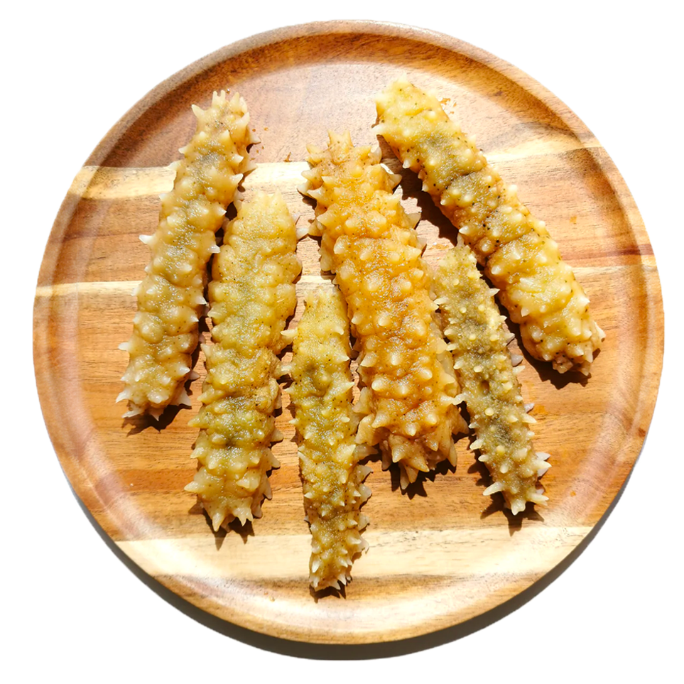 Con hải sâm gai vàng – báu vật đại dương