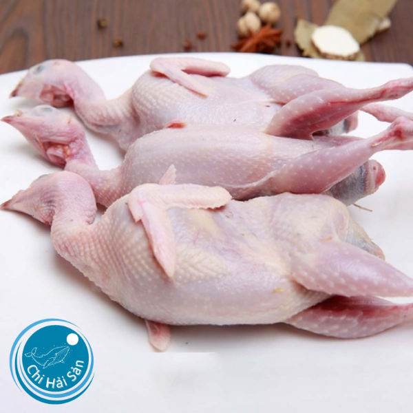 Chim cu gáy đã làm sạch