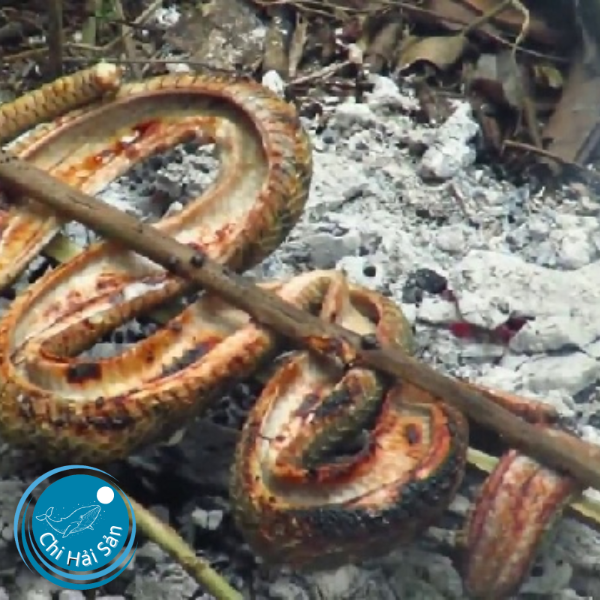 Rắn ri nướng mọi