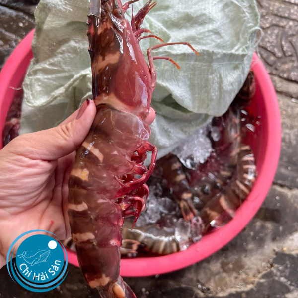 Mùa tôm sú biển tươi sống - hãy tranh thủ với các món Á, Âu tuyệt vời!